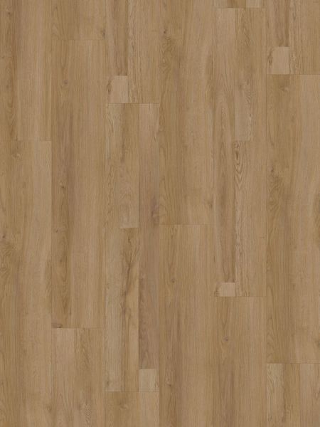 Vinylboden - Victoria Eiche - Klebe-Vinyl 2,5mm - Breitdiele Premium