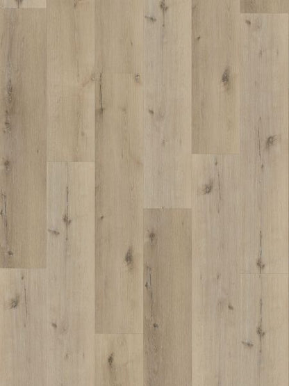 Vinylboden - Hellweg Eiche - Klebe-Vinyl 2,5mm - Breitdiele Premium