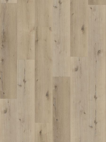 Vinylboden - Hellweg Eiche - Klebe-Vinyl 2,5mm - Breitdiele Premium