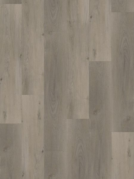 Vinylboden - Lausitz Eiche - Klick-Vinyl 5,0mm - inkl. Trittschall - Breitdiele Premium