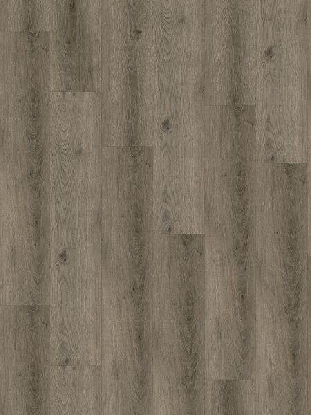 Vinylboden - Boxbach Eiche - Klick-Vinyl 5,0mm - inkl. Trittschall - Breitdiele Premium