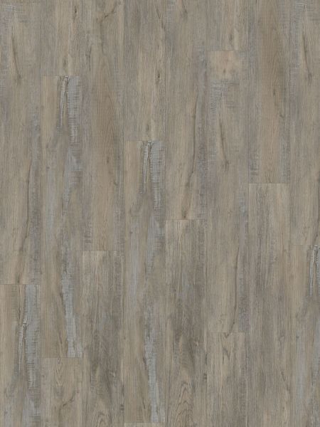 Klebe-Vinyl CHECK expert 2405E Theodor Eiche Diele Standard