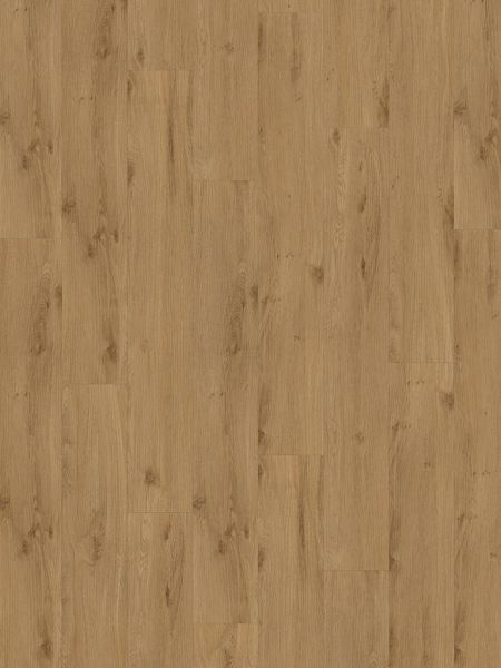 MUSTER - Klebe-Vinyl CHECK expert 2412E Julius Eiche Diele Standard (KOSTENLOS)