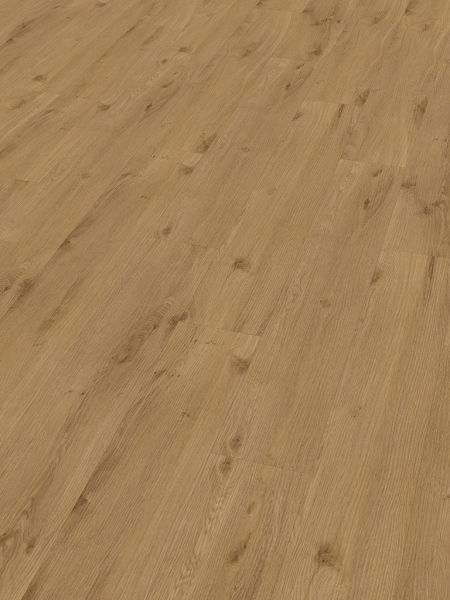 Klebe-Vinyl CHECK expert 2412E Julius Eiche Diele Standard