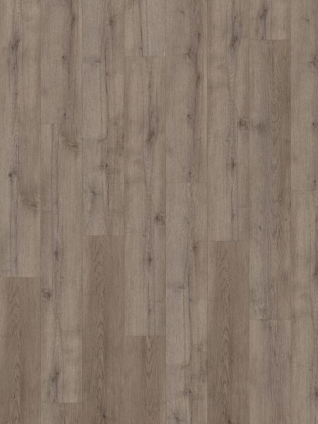 Vinylboden - Terpe Eiche - Klick-Vinyl 5,0mm - inkl. Trittschall - Standard