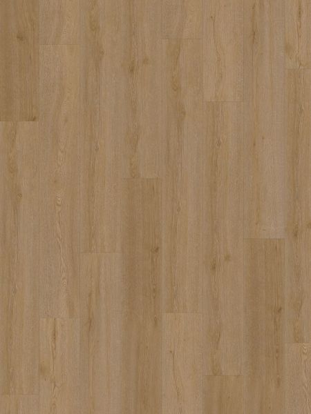 Vinylboden - Lohe Eiche - Klick-Vinyl 5,0mm - inkl. Trittschall - Standard