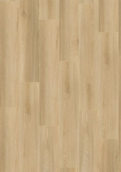 Vinylboden - Morbach Eiche - Klick-Vinyl 5,0 mm -  inkl. Trittschall - Standard Breitdiele