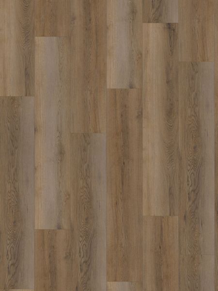 MUSTER - Click-Vinyl CHECK One 2474 Wullen Eiche inkl. Trittschall Standard Breitdiele (Kostenlos)