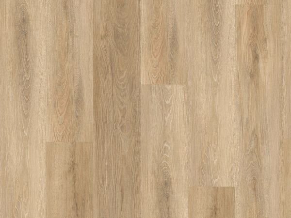 MUSTER - Vinylboden - Montnegre- 5,0mm - COMFORT inkl. Trittschall (Kork) (KOSTENOS)