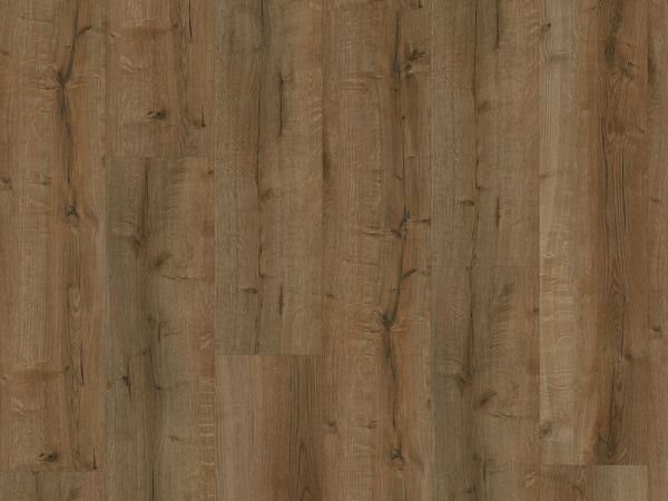 Click-Vinyl CHECK comfort 2515 Pedro Eiche Lang- und Breitdiele inkl. Trittschall (Kork)